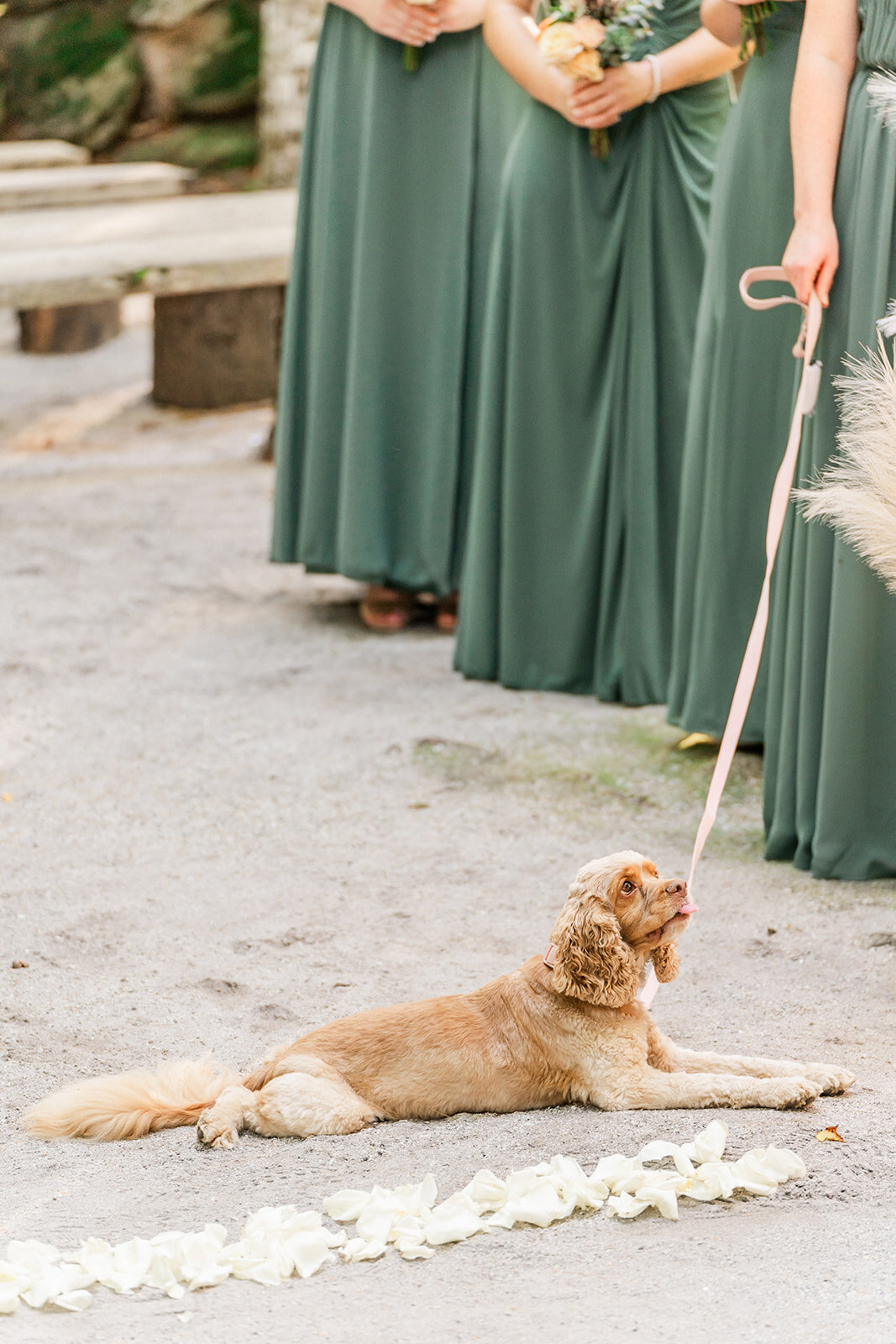 Maine-wedding-photographer-Jenna-Richmond94