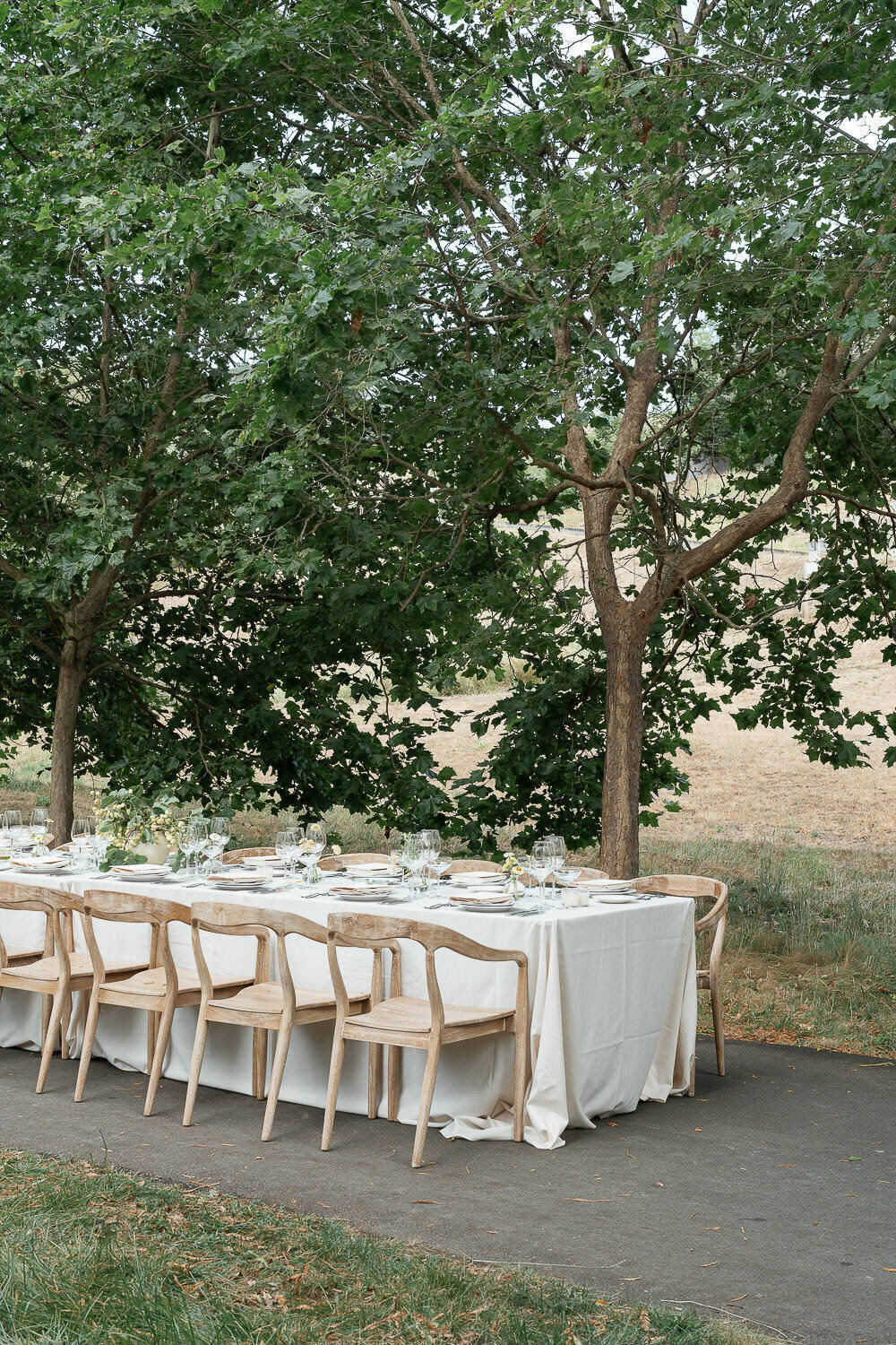 sonoma-theresakelly--75