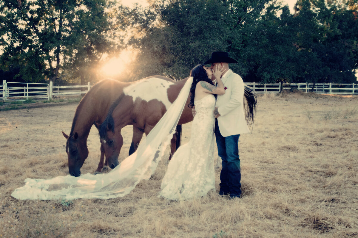 bride and groom with horses