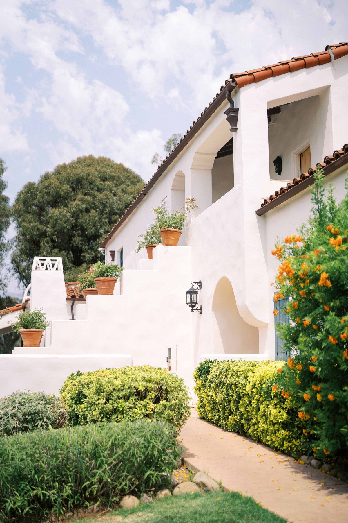 WILLOW-BEN-WEDDING-NAPA-PHOTOGRAPHER-6