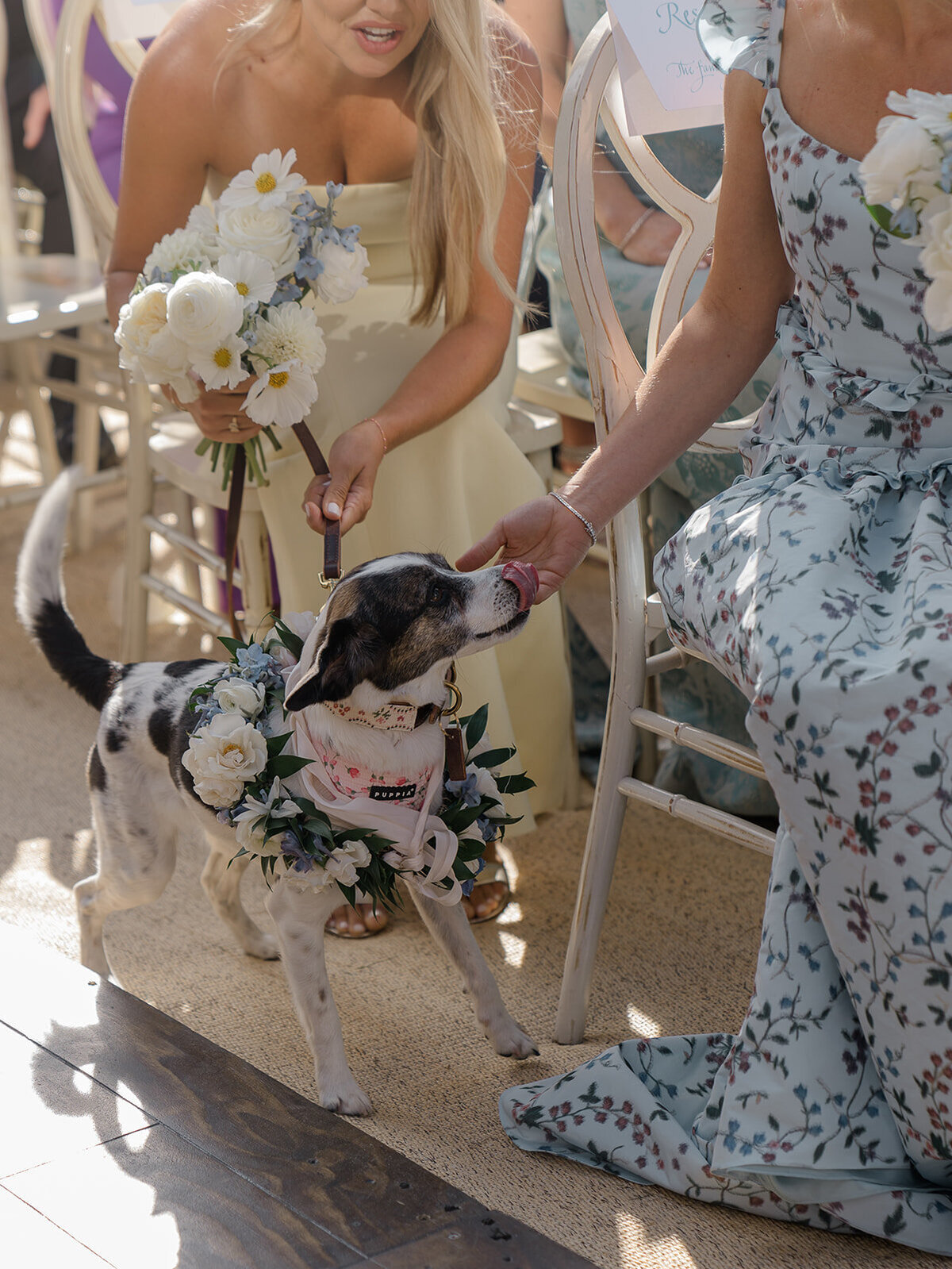 0686 JordanJosh WEDDING