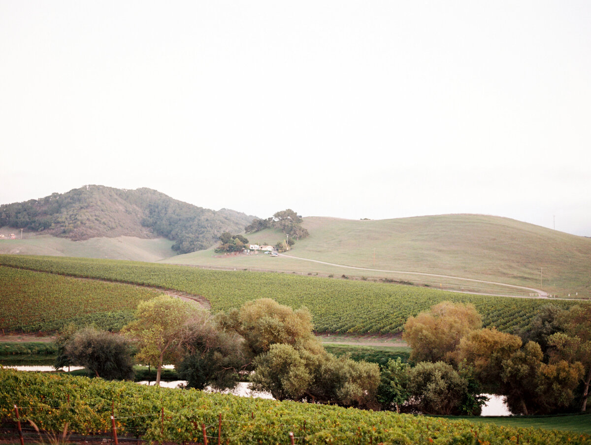 Greengate_Ranch_and_Vineyard_Wedding_002