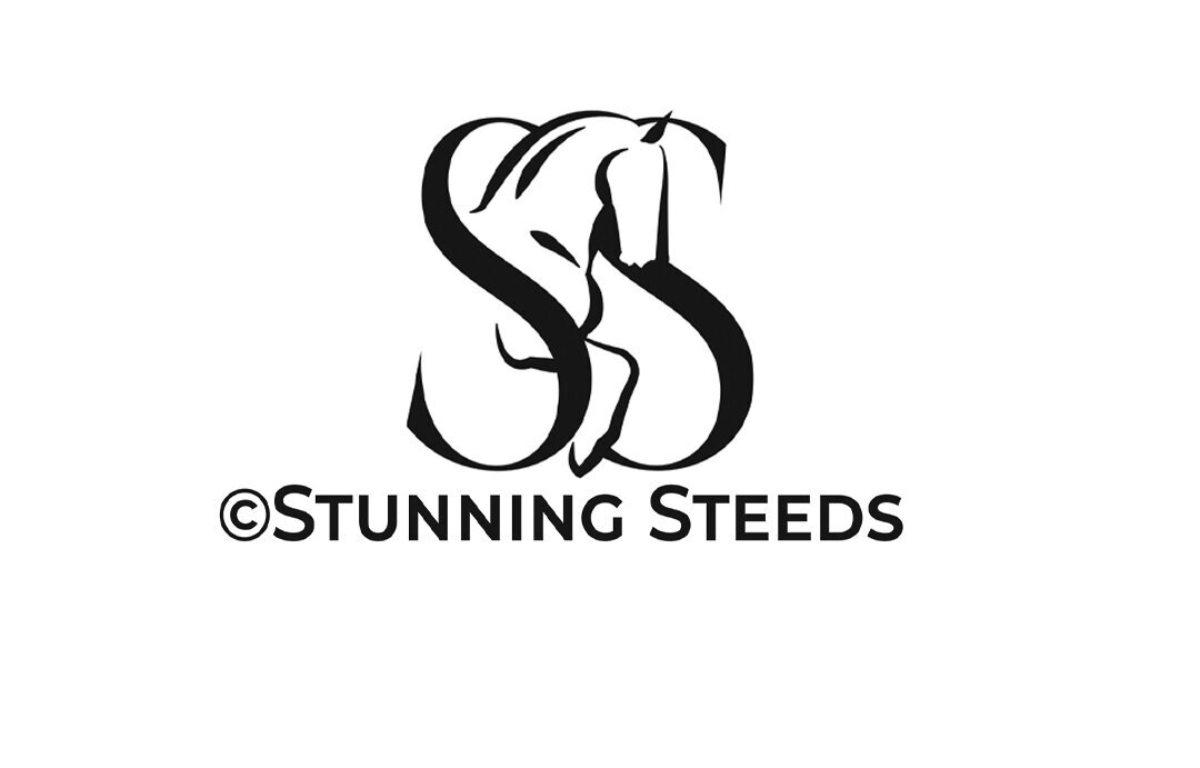 SS-logo-2025-LR