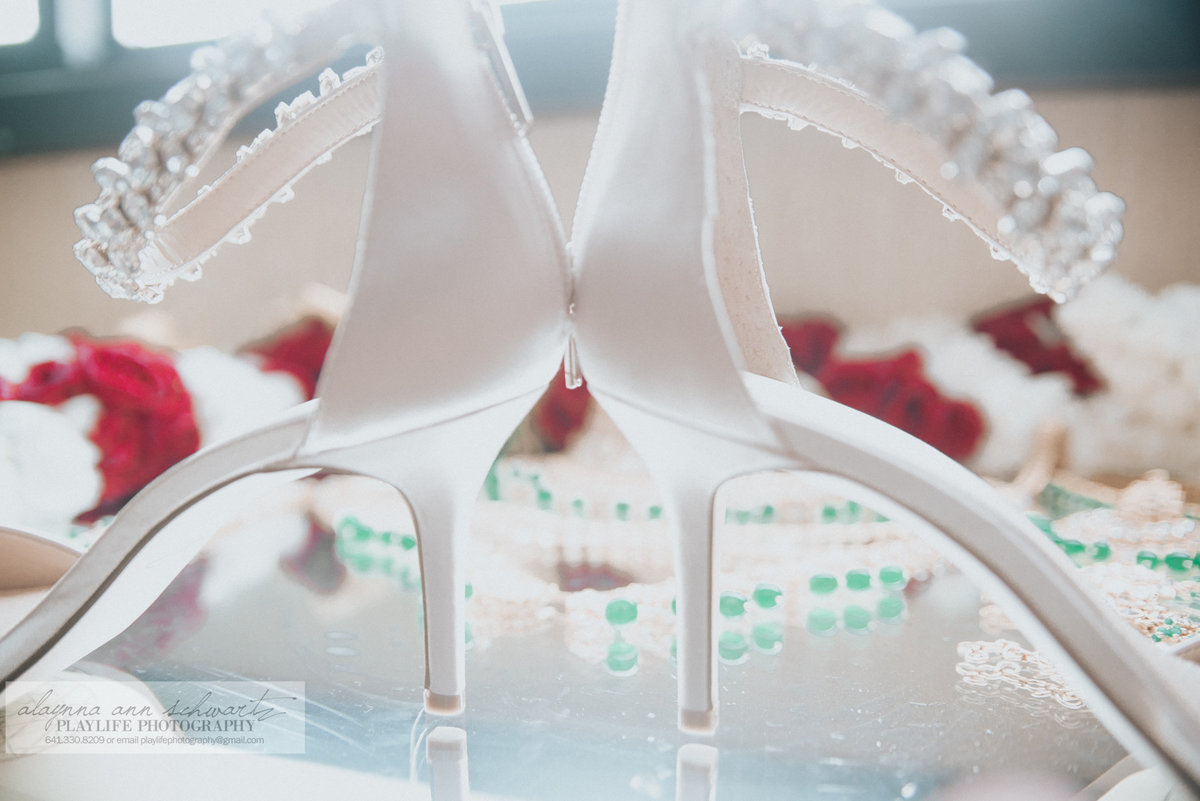 indianweddingportraits |alaynnaannschwartz|playlife photography-4