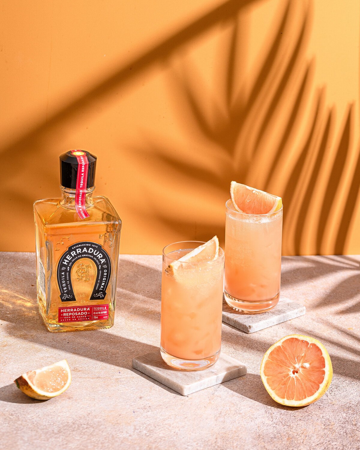 herradura-ii-22