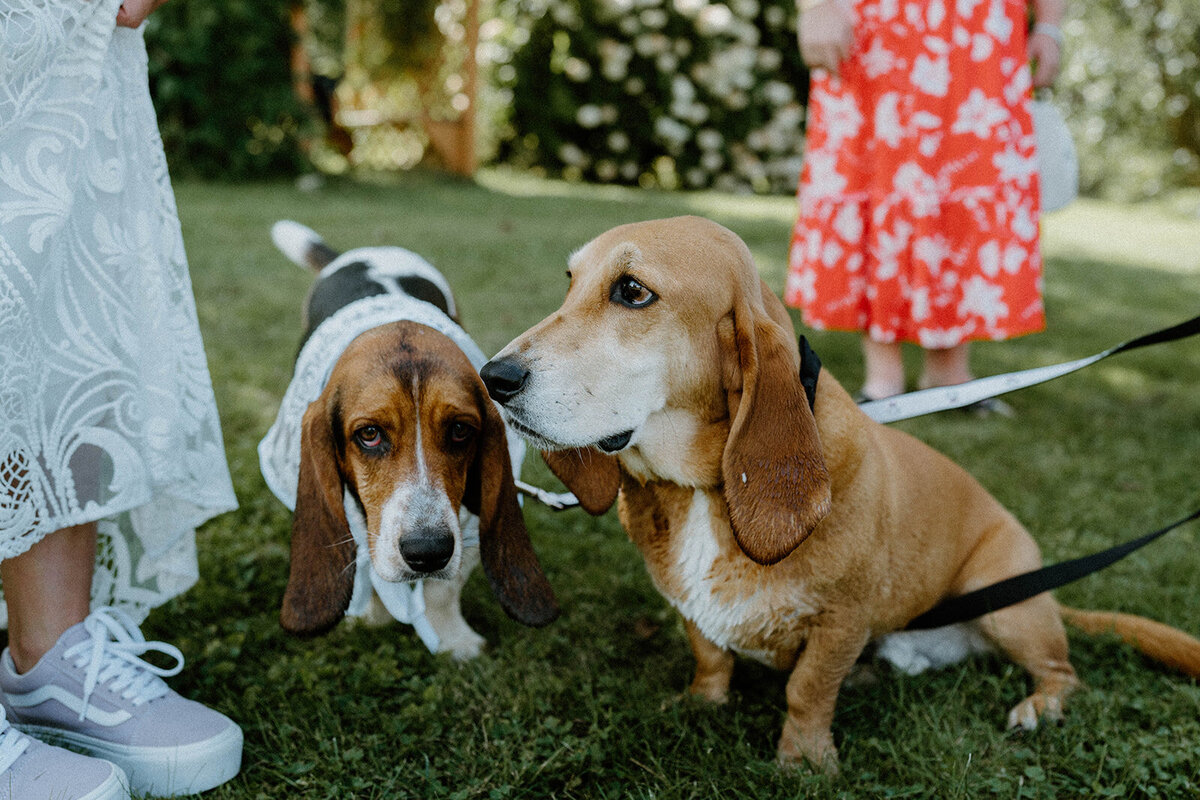 K+R-vermont-wedding-allison-macy-photography-36_websize