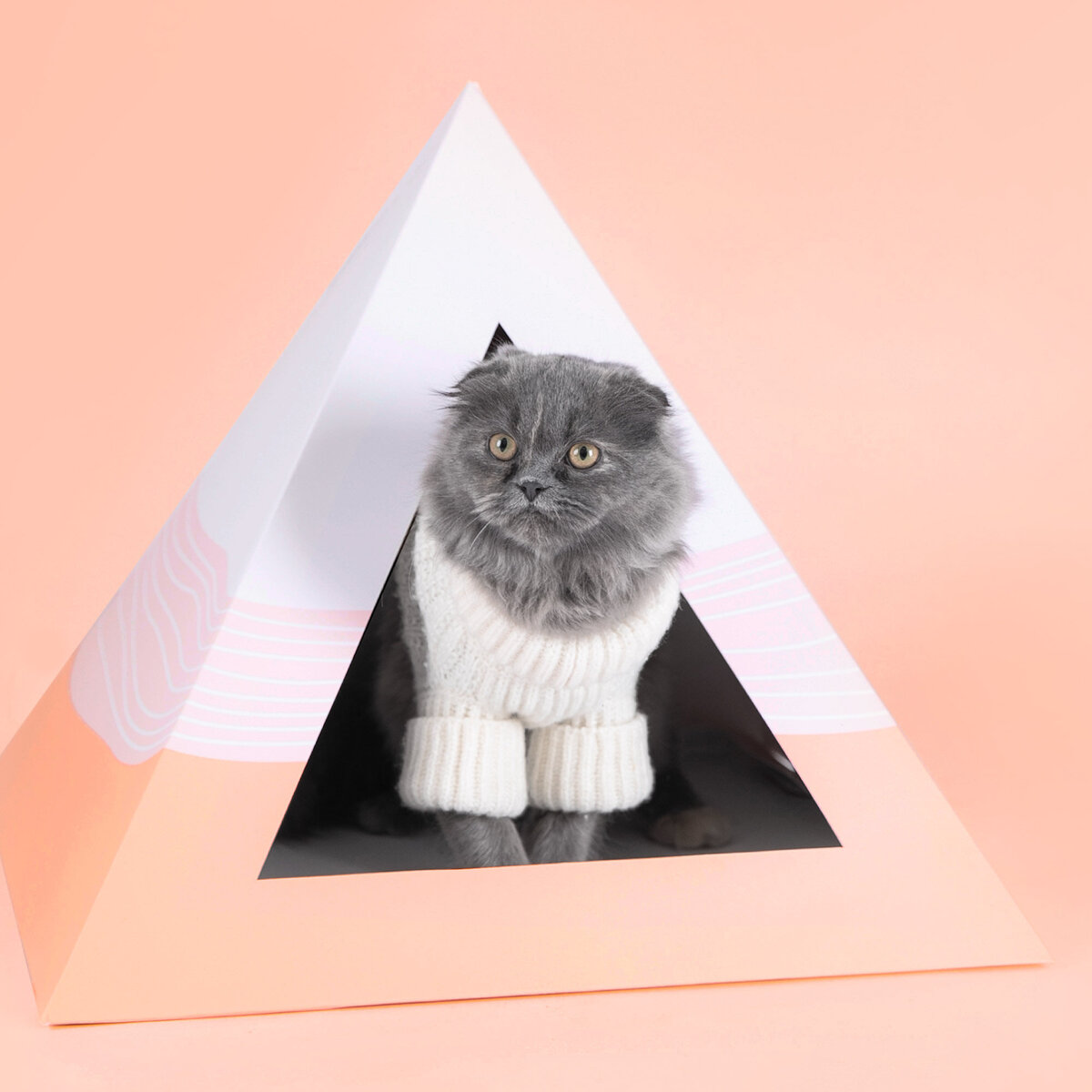 Rose-and-Palm-Studio_Portfolio_Kitty-Kardboard_Graphic-35
