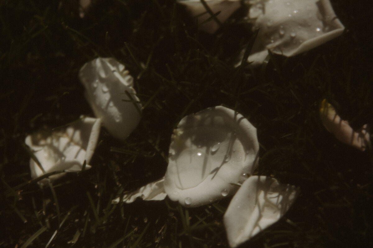 WrensRoost-34