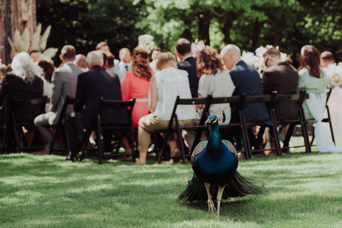 Louisa Jane Photography_Sinead and Joe-122
