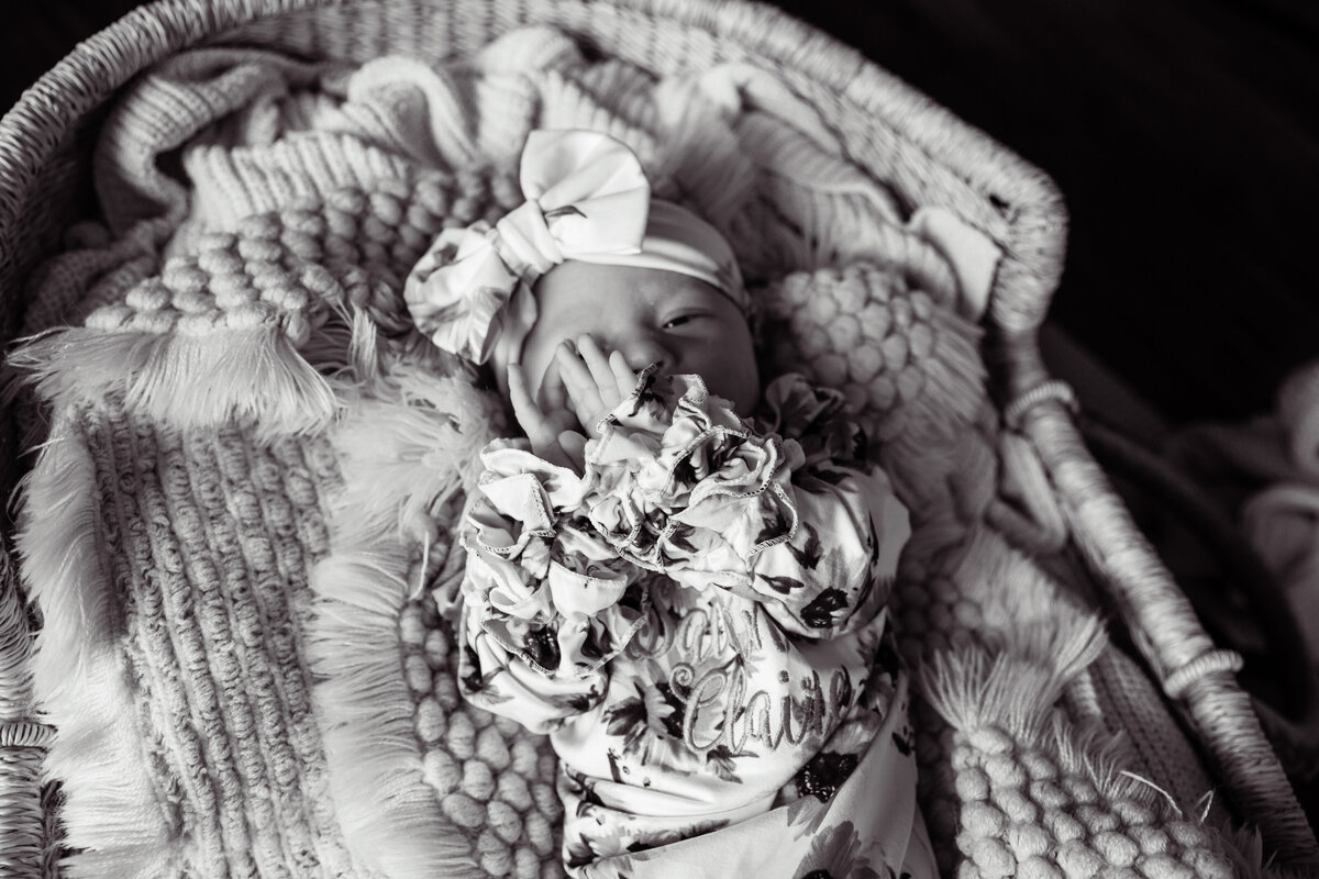 NewbornSavannah-16