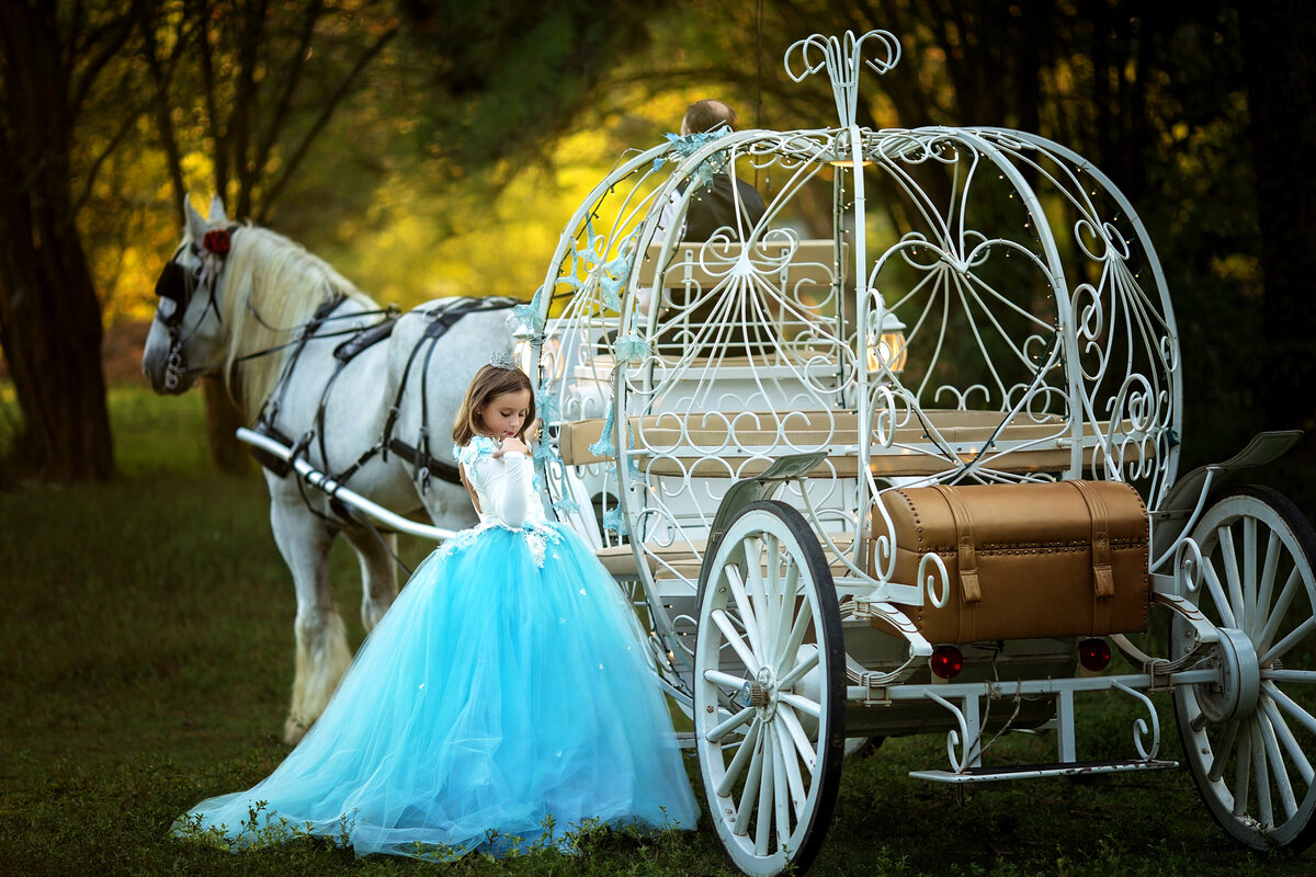 Cinderella carriage being pulled by a Shire horse.  There is a girl with brown hair wearing a blue and tulle gown.  She is standing at the entrance to the carriage.  She is looking over her shoulder.