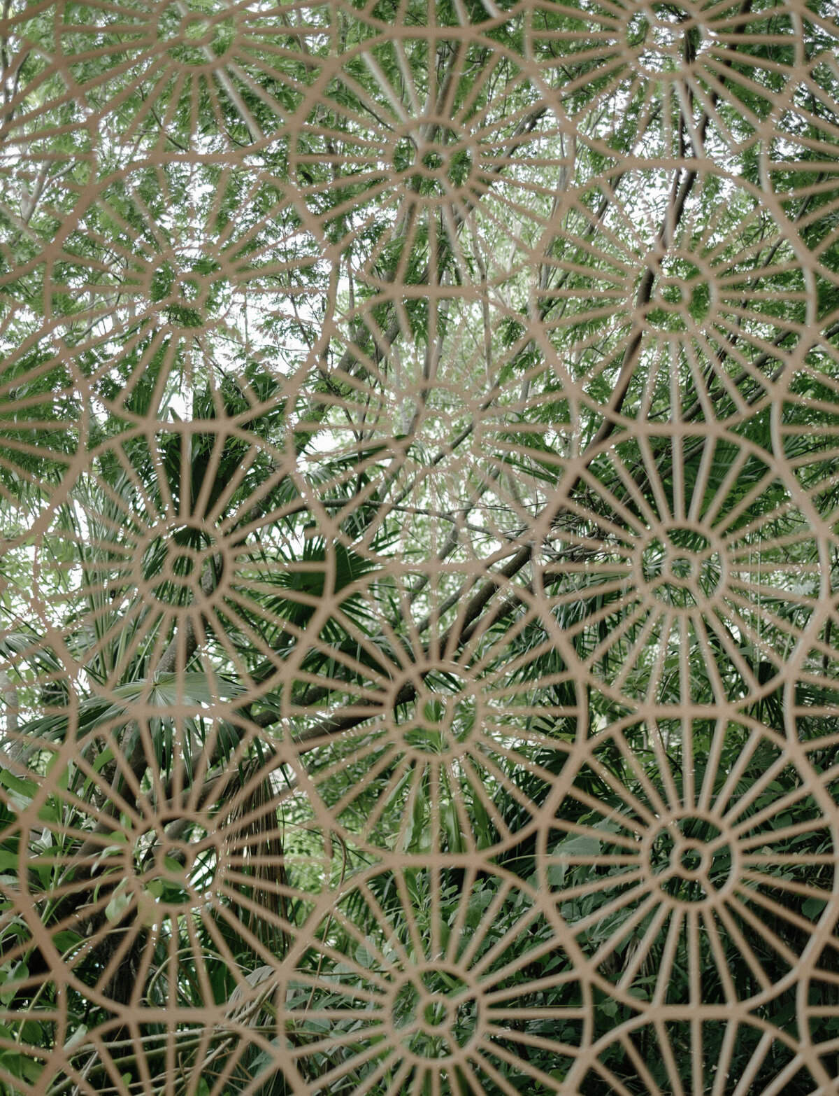 Design and greenery plants at Paradisus la Perla, Mexico