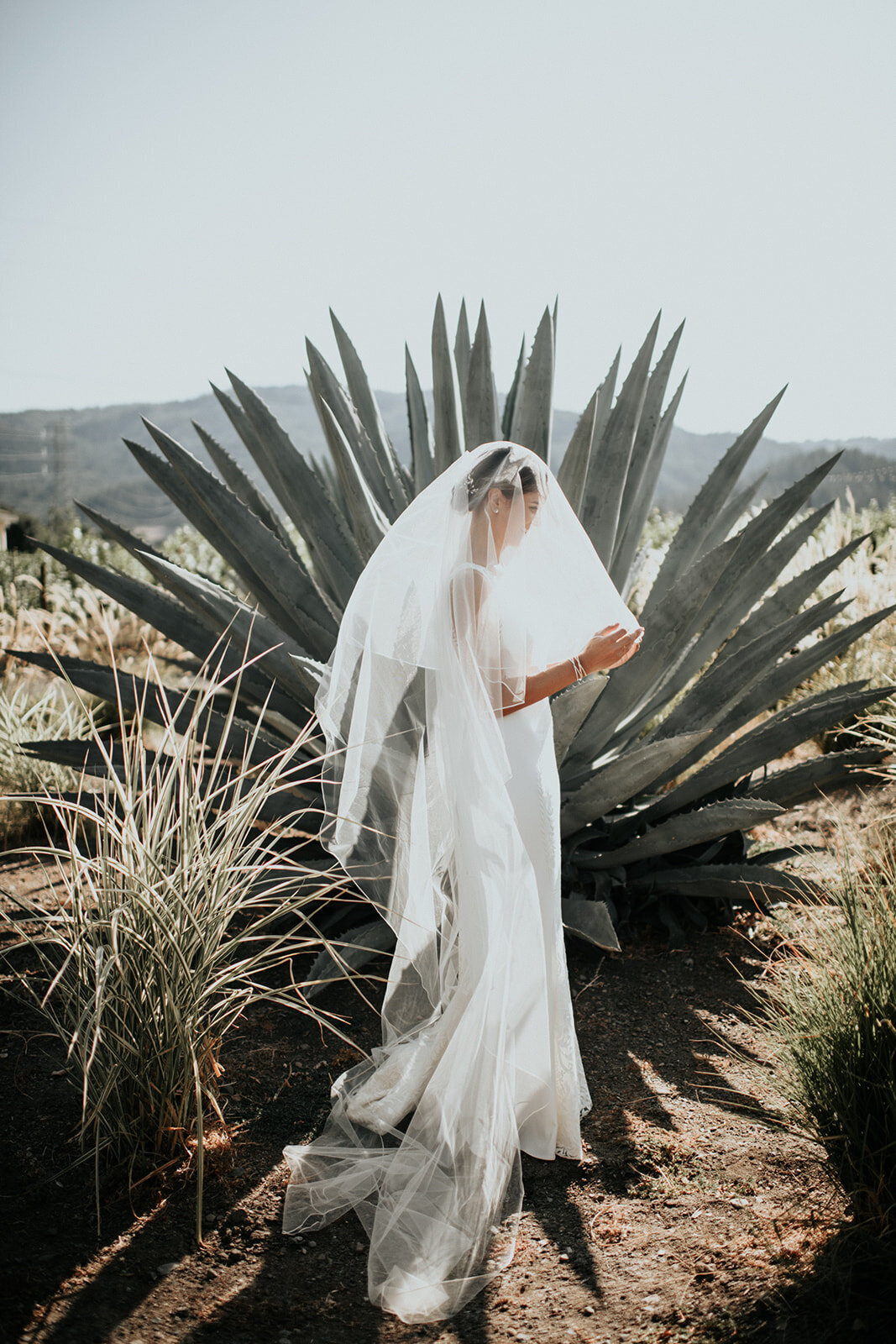 Monica+Nick.Wedding.TonieChristinePhotography-738_websize