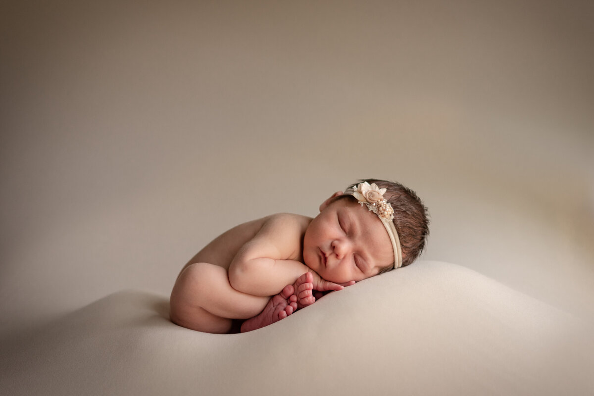 posed baby newborn photographer northeast fort wayne bluffton indiana