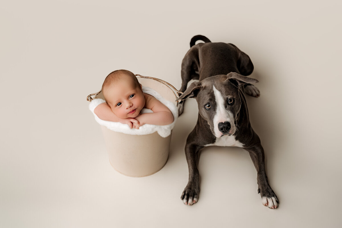 Chase-Newborn-Charlotte-NicSo Studio (5 of 21)