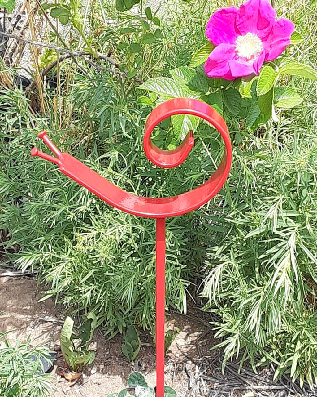 red snail_edited