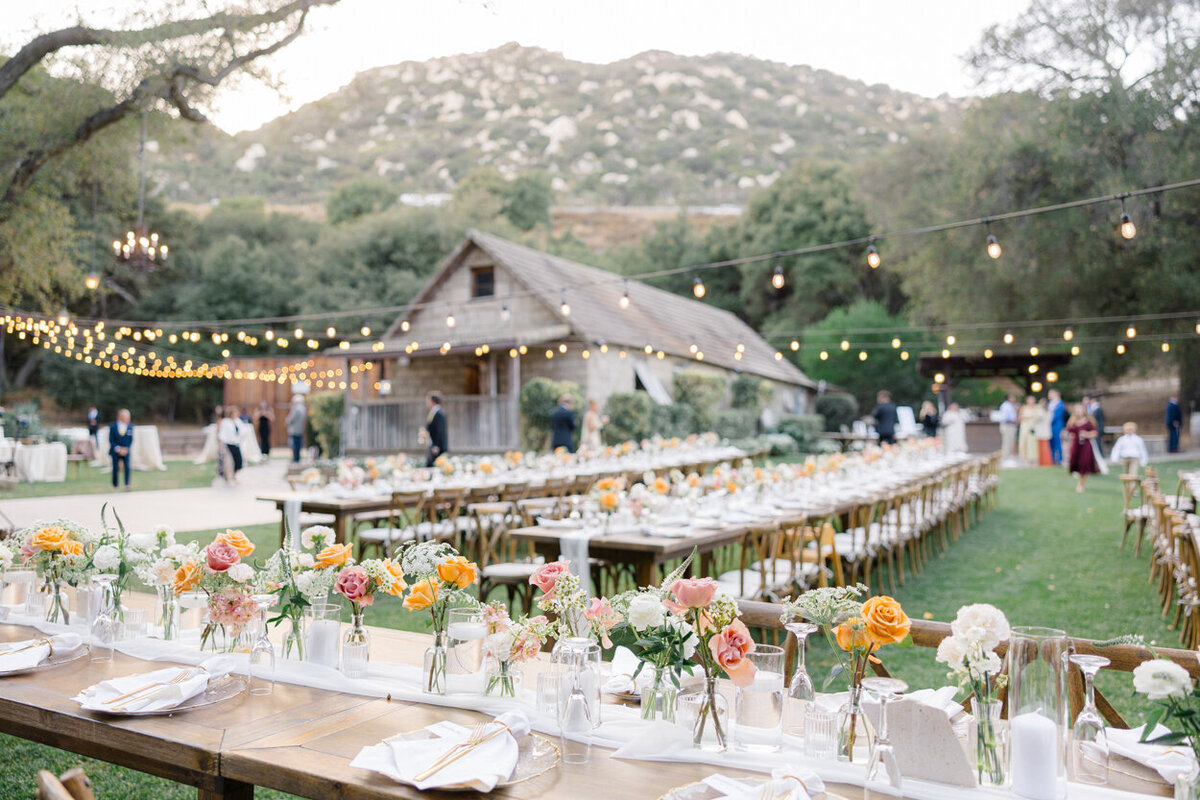 Amanda Shupe Photography _ 54