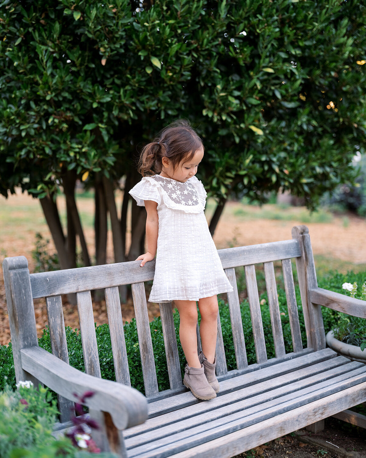 Family lifestyle photos Gamble Garden Palo Alto Bay Area summer session