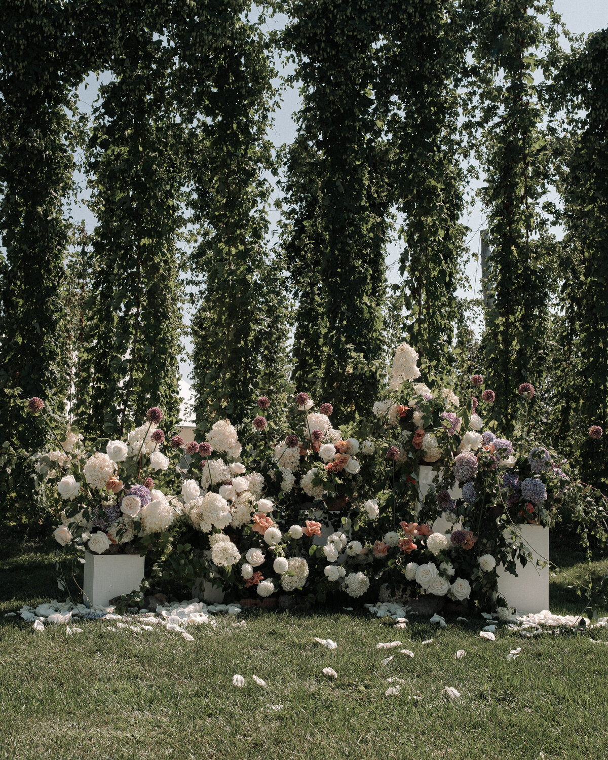 Amanda + Todd Highlight-5