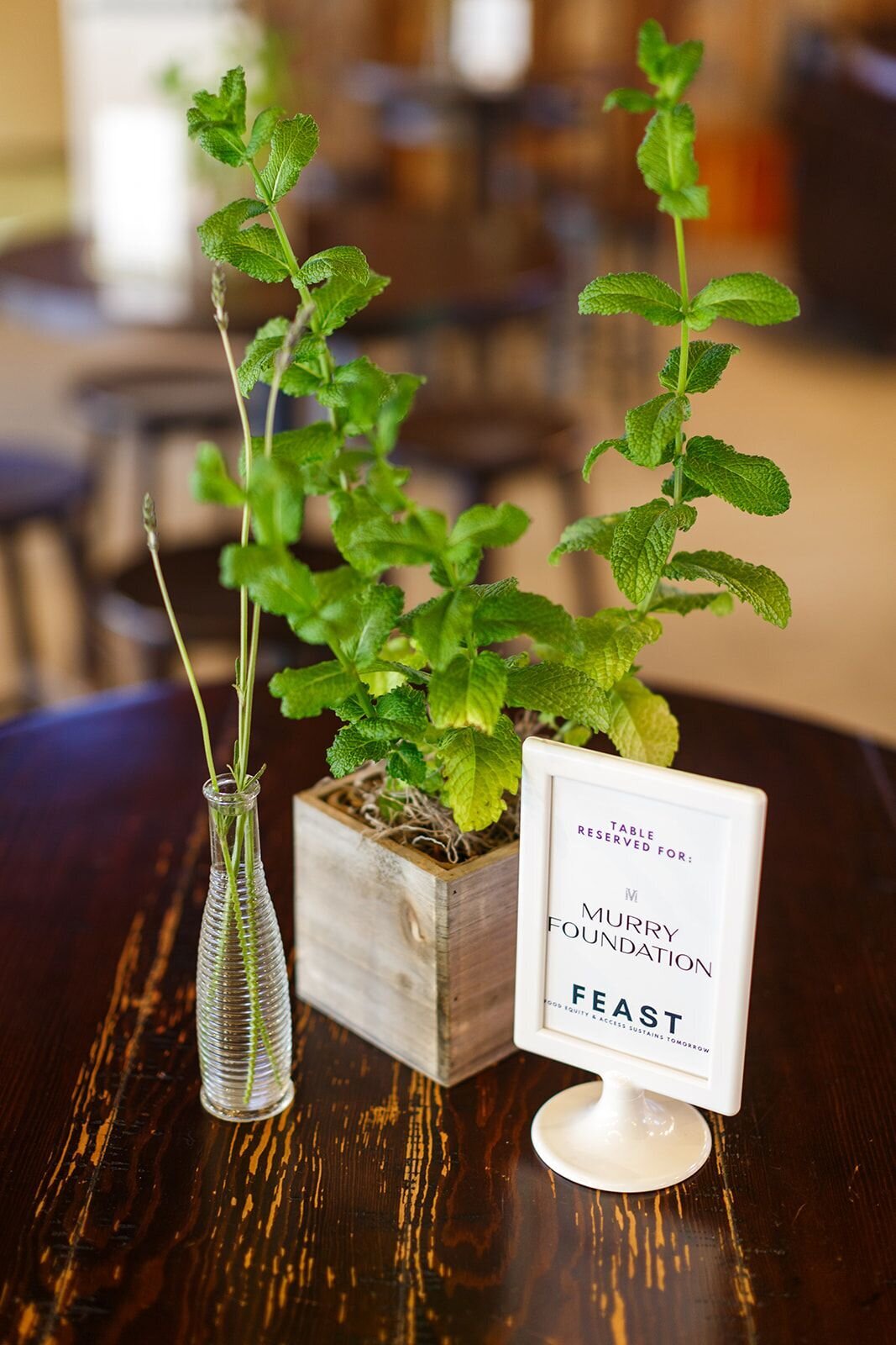 FEAST-lexington-ky-nonprofit-fundraising-event-fasig-tipton (8)