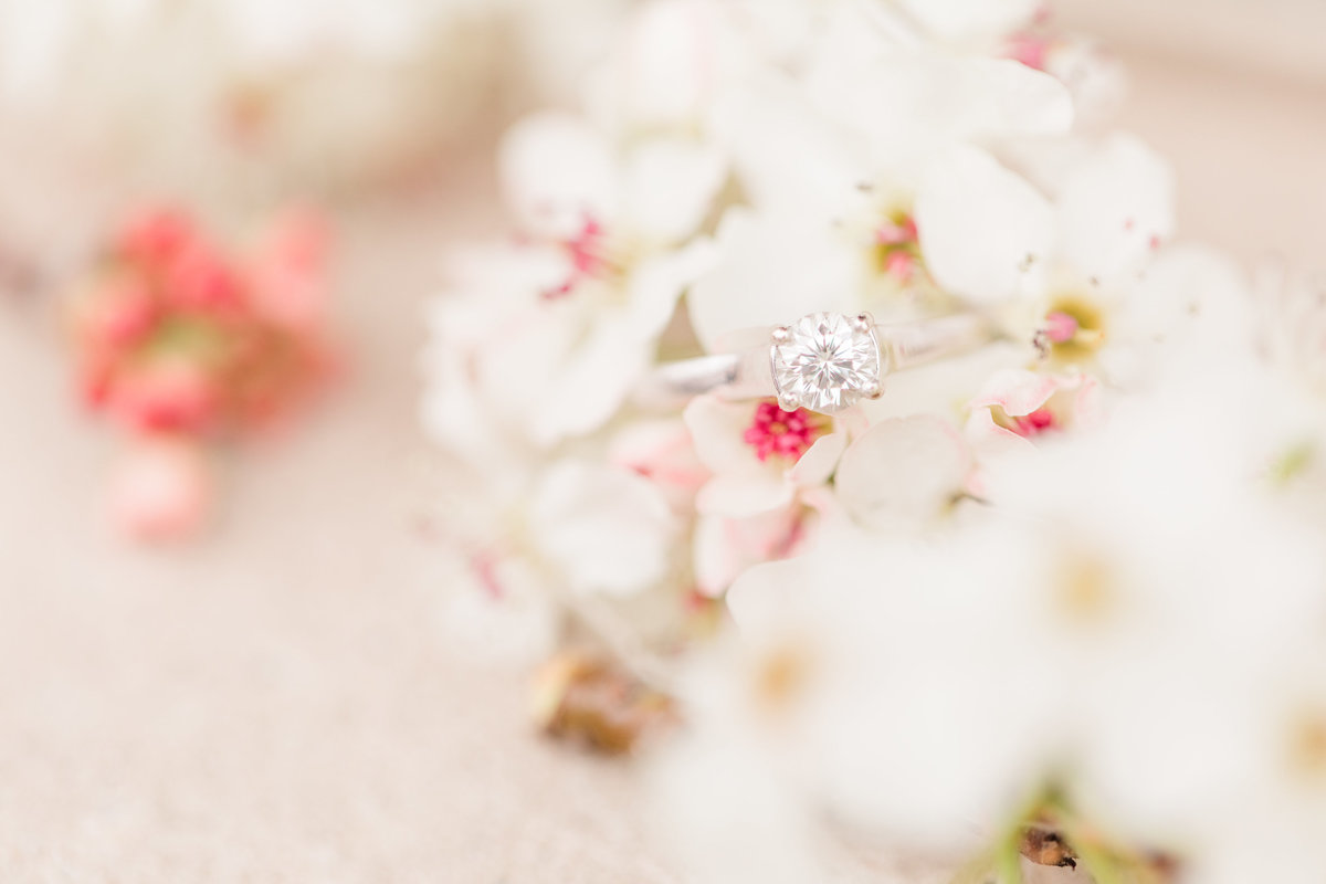 Jennifer B Photography-Greg & Jordan-2020-0117