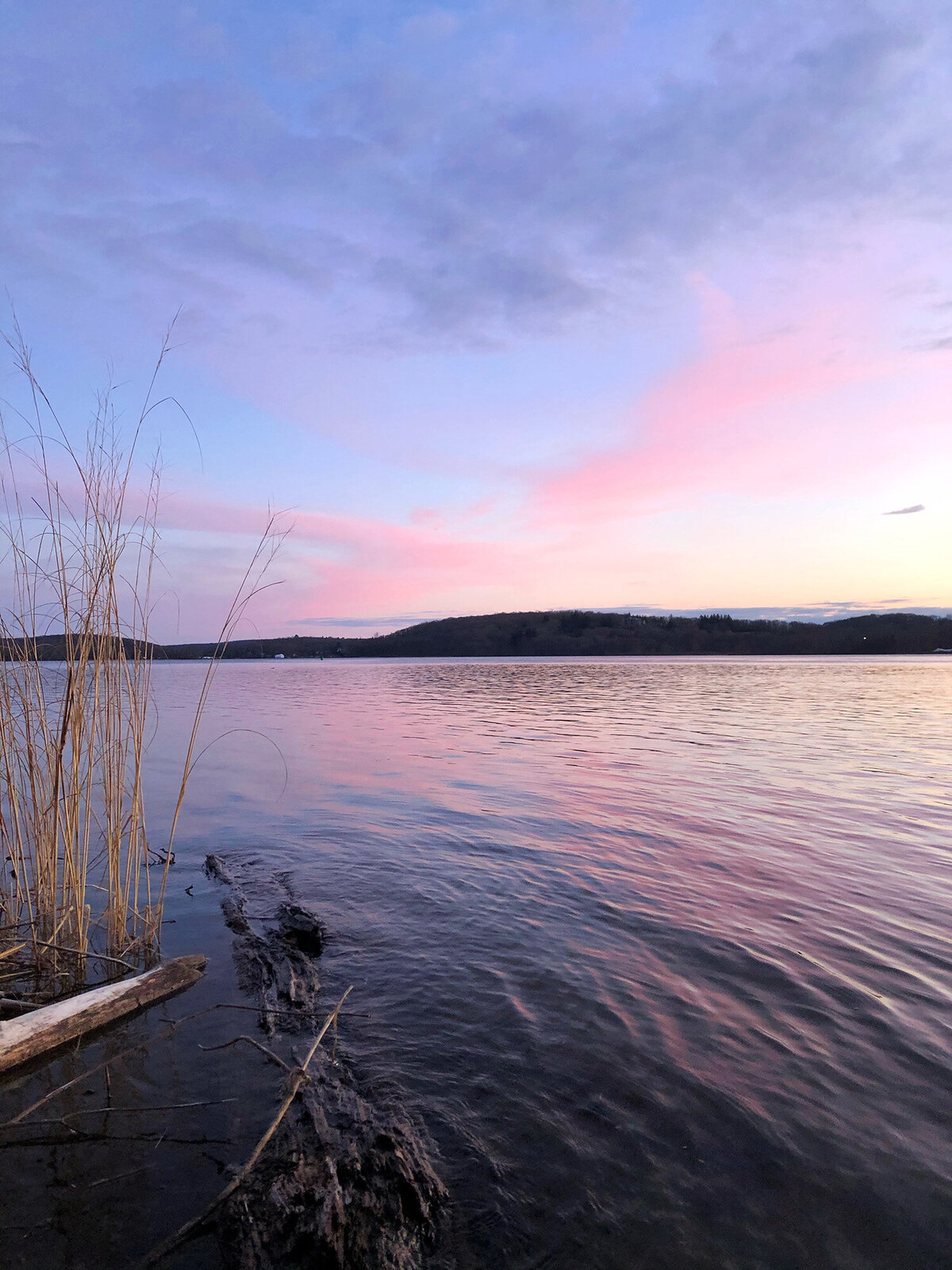 CCC_Estuary_44