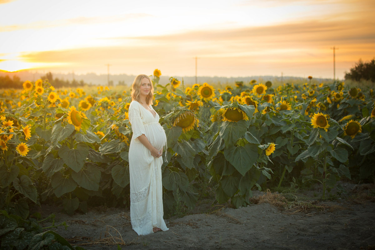 Snohomish Sunflowers Woodinville Photography