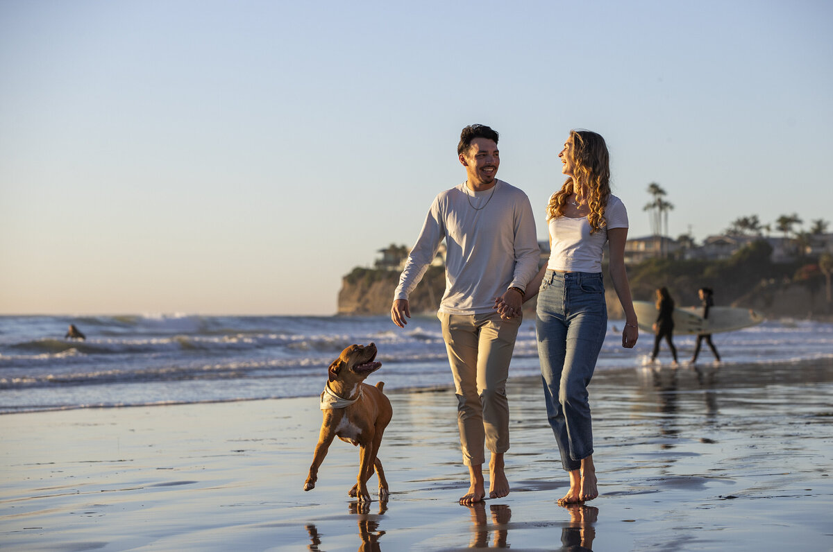 pet photo licensing 1 copy