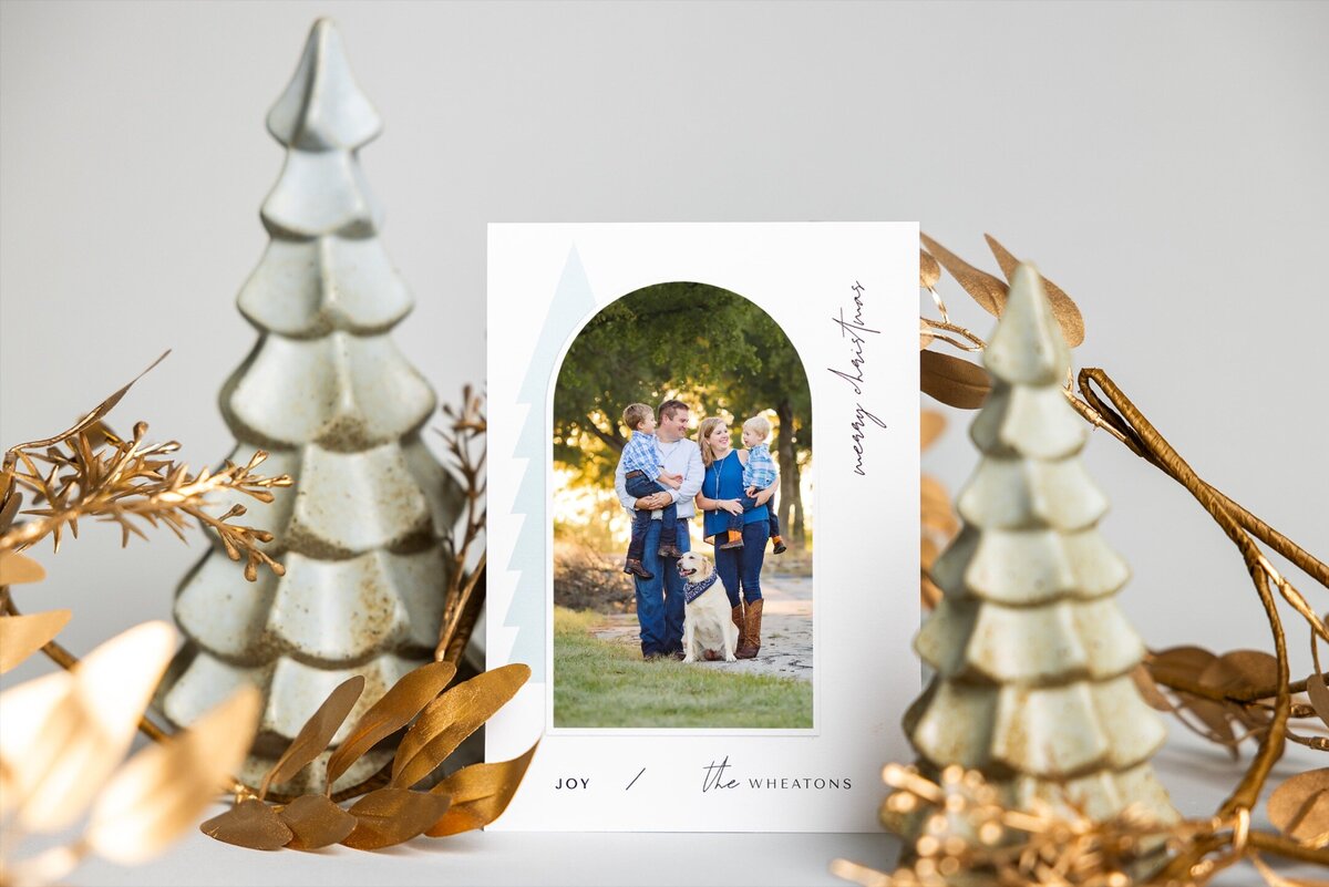 A custom Christmas card is created by MIssy Mayo Photography.