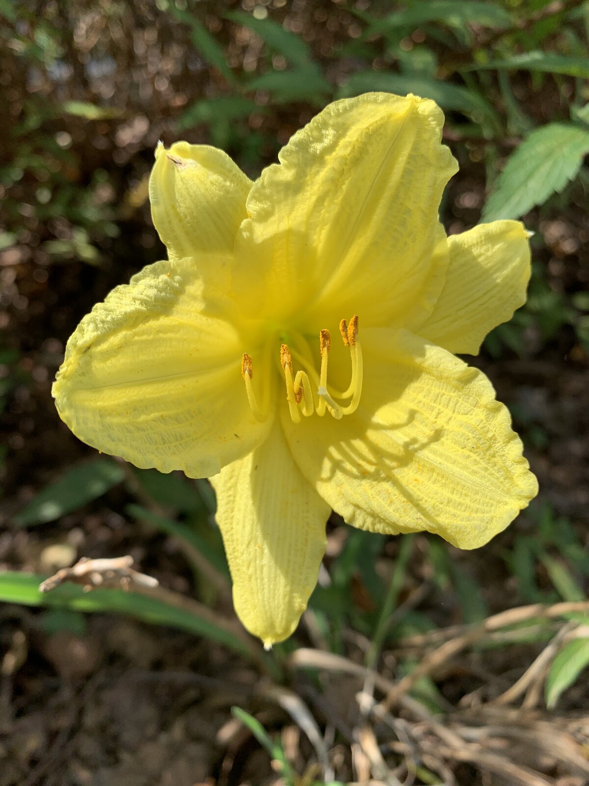 image00003