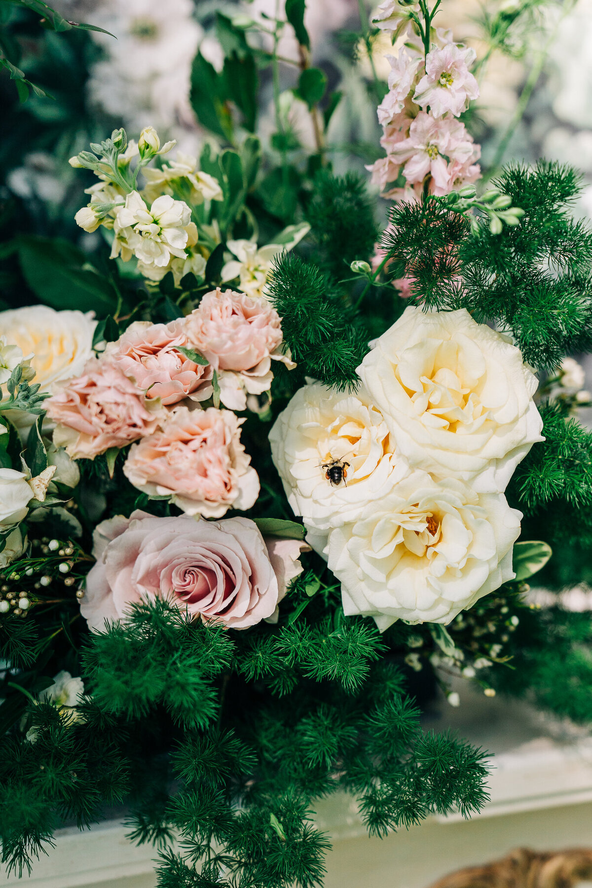 Idyllwild 2025 Sweet Alice Photography-100_(2048)