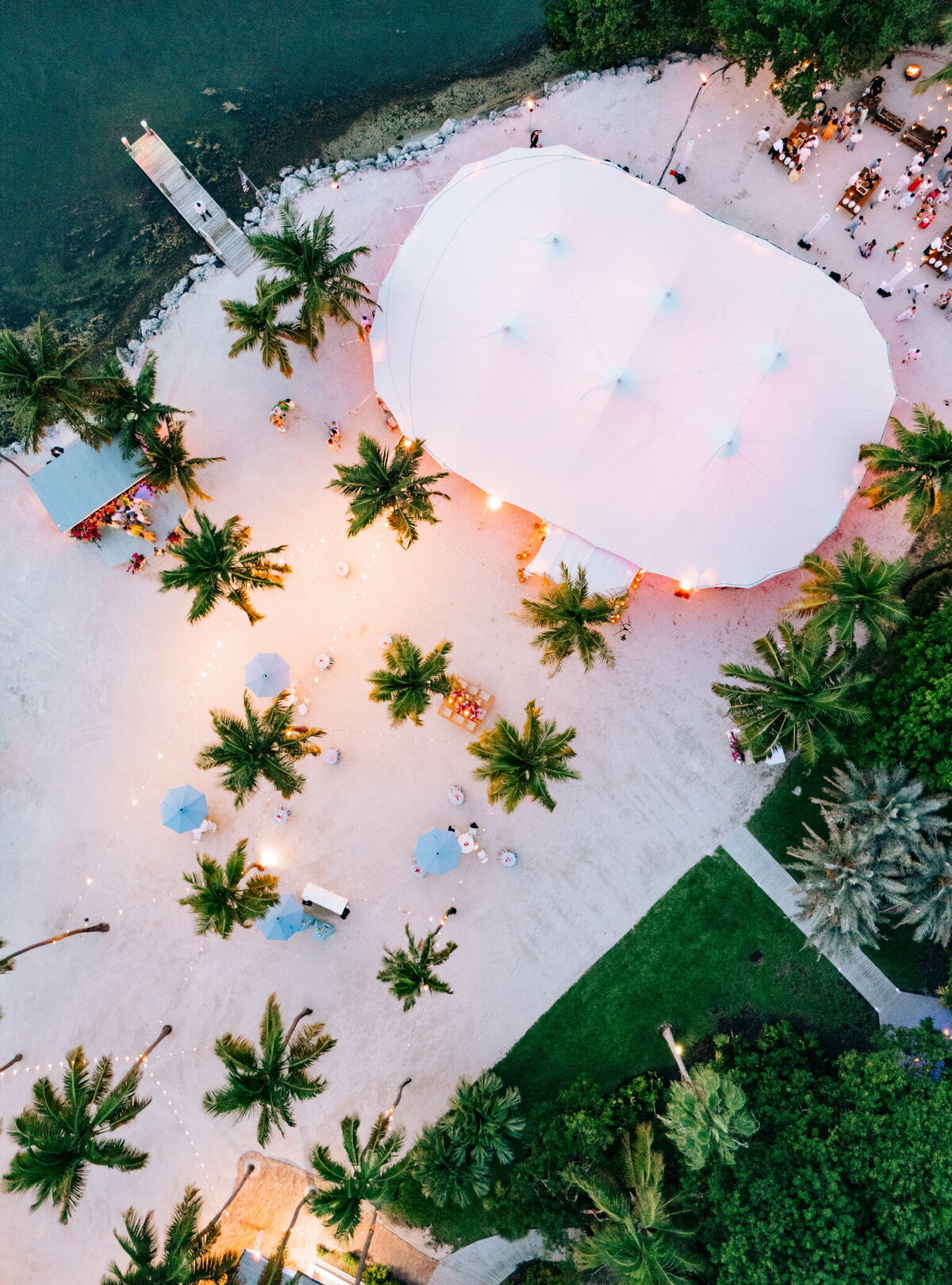 CASWELL WEDDING 2667