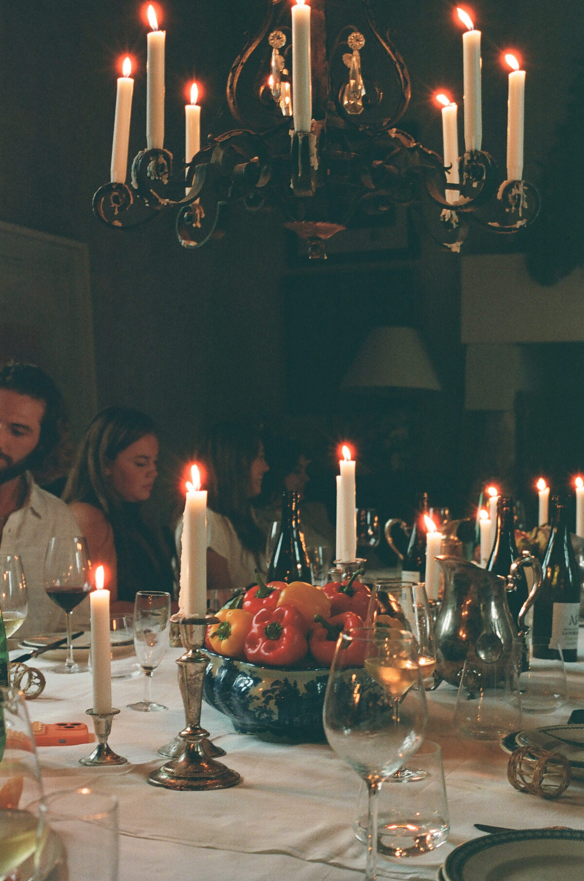 French Welcome Dinner-14