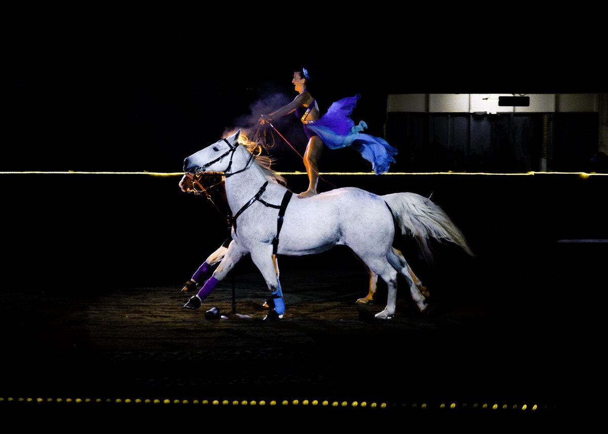 Equine-Affair-Fantasia-Springfield-MA-1