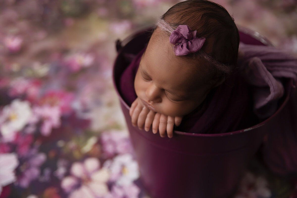 sspd floral newborn girl in purple