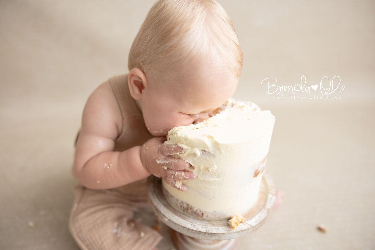 cakesmash-brendaolie14