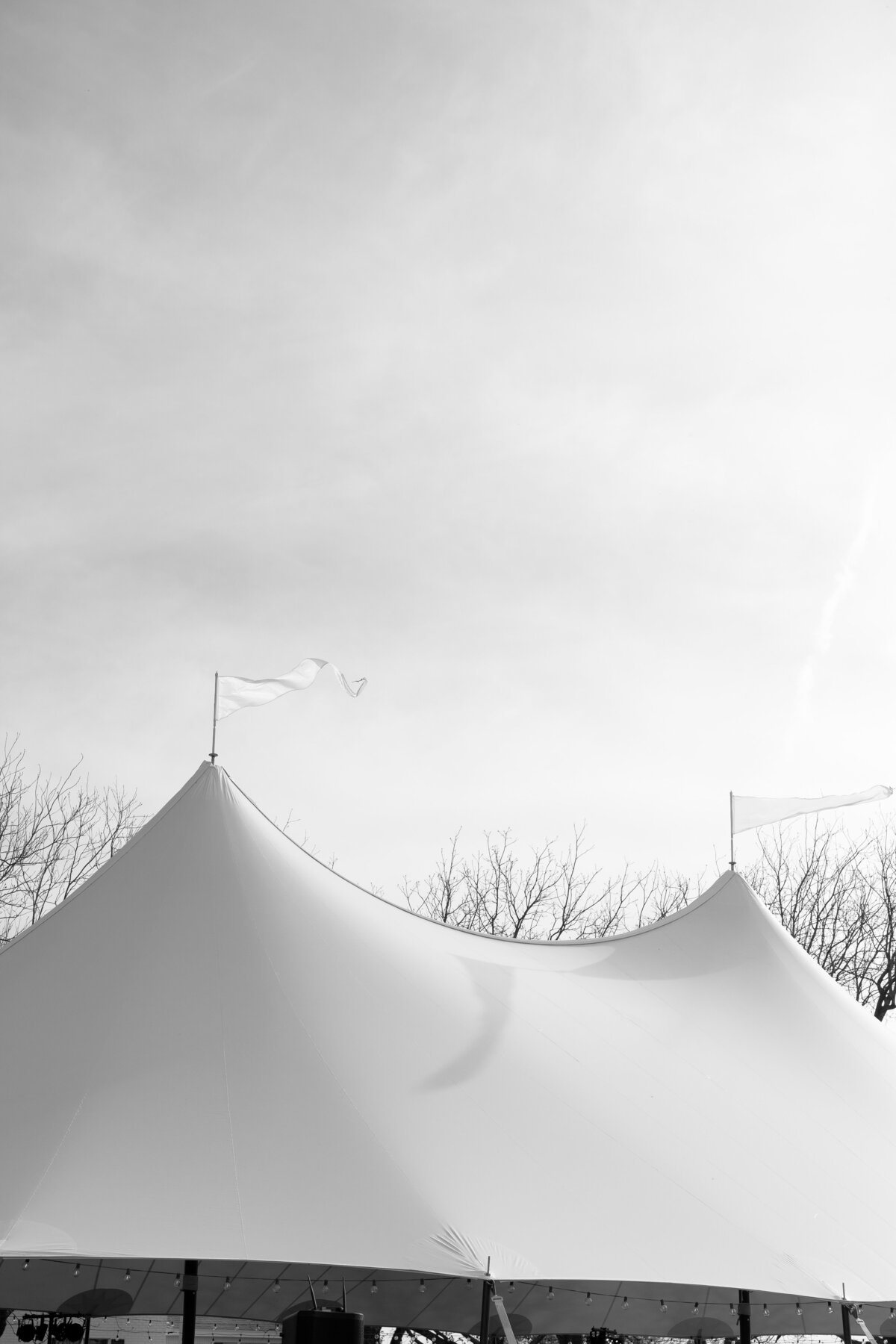 F81A7883
