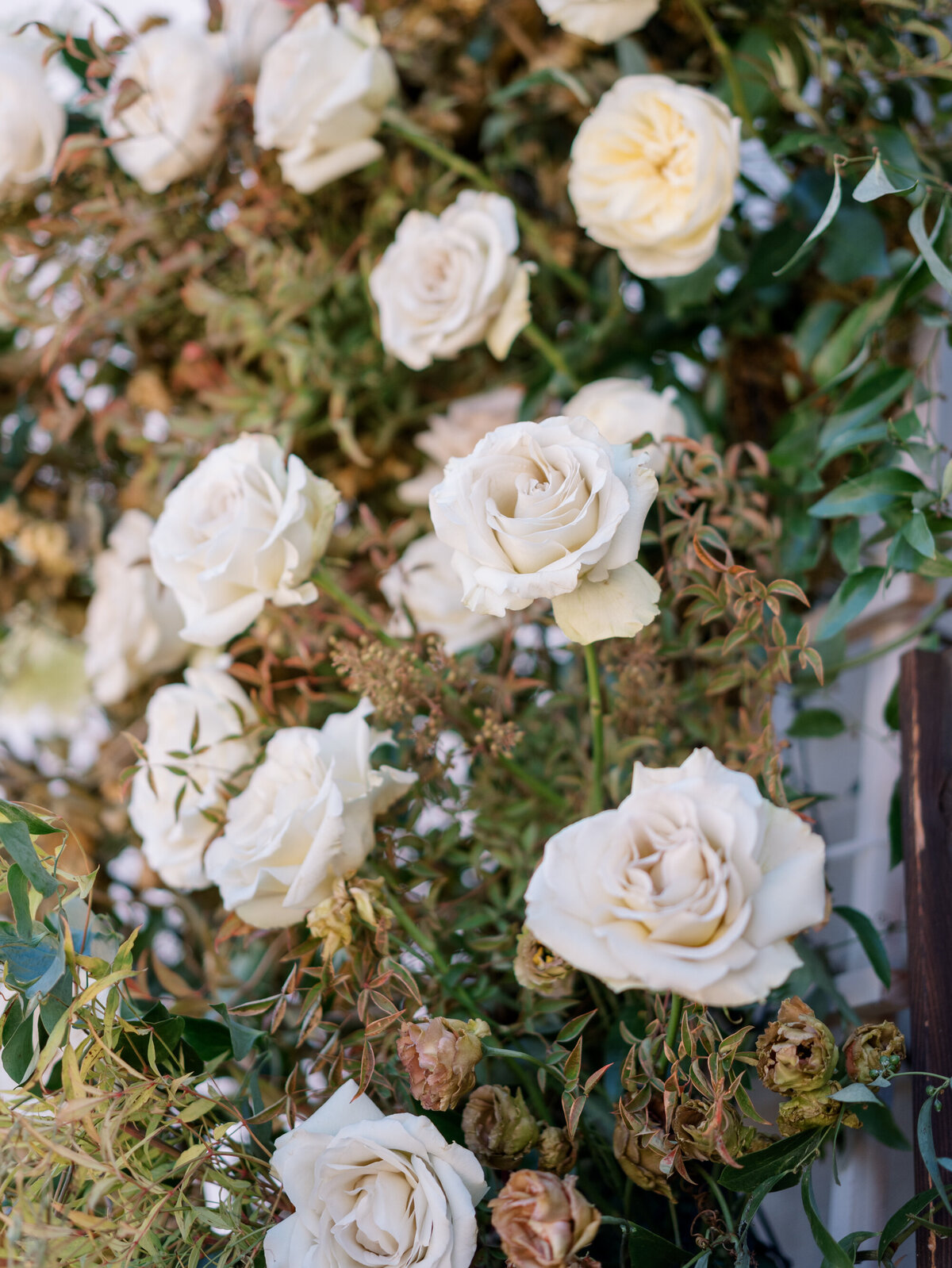 Hotel_Californian_Wedding-00030