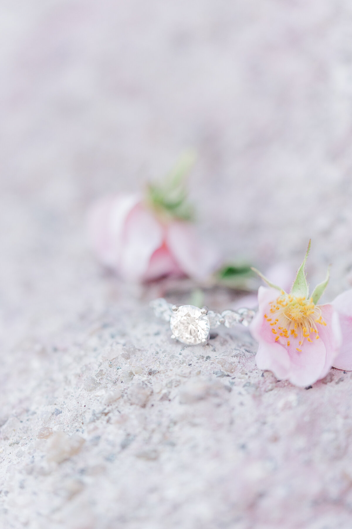 Paint Mines Interpretive Park El Paso Colorado Engagement Session Light and Airy Romantic Pictures Elena Spraguer Photography 0066