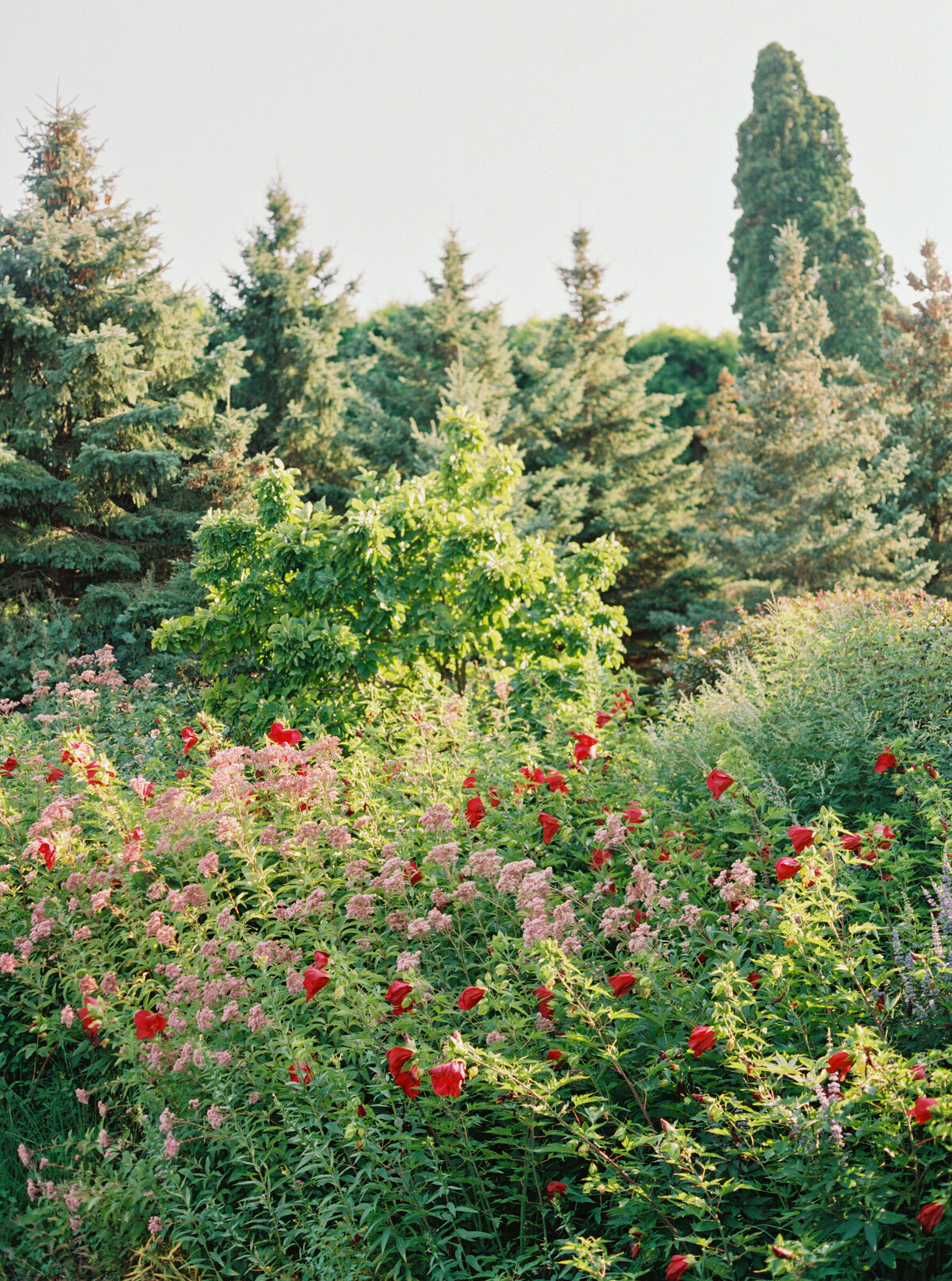 Summer Chicago Botanic Gardens Wedding Highlights | Amarachi Ikeji Photography 03