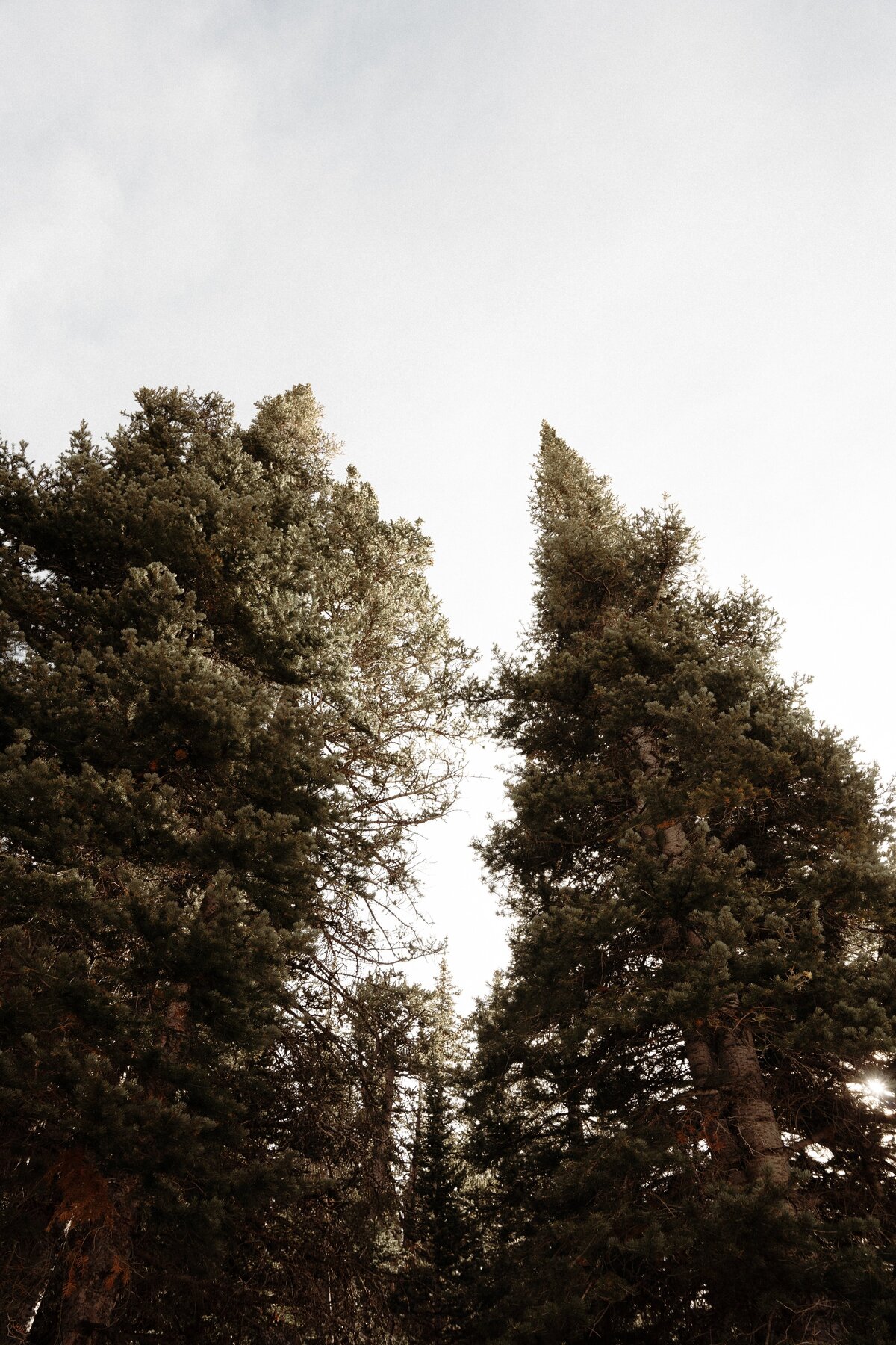 andres-molina-gN608I9DWG4-unsplash