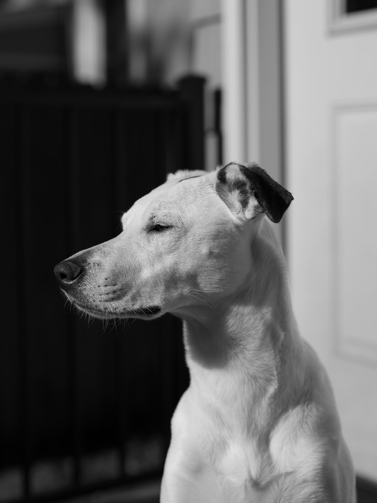 loui_photography_personal-6