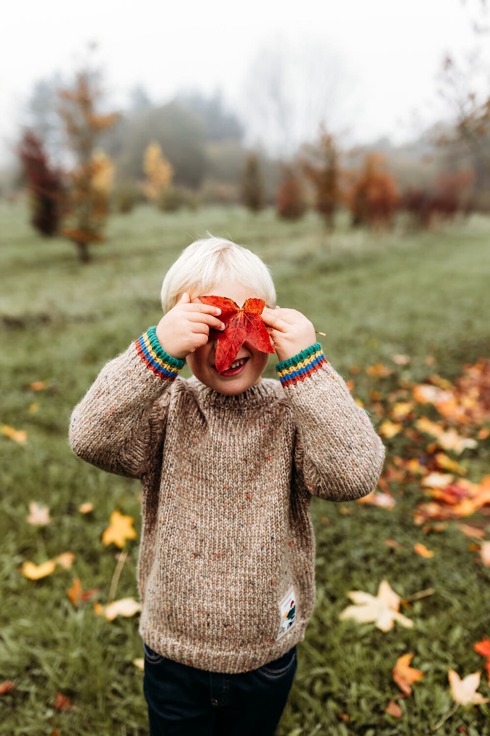 Kerst_Minisessie_in_de_natuur_Heist_op_den_Berg_Tine_Storms_Photography-15
