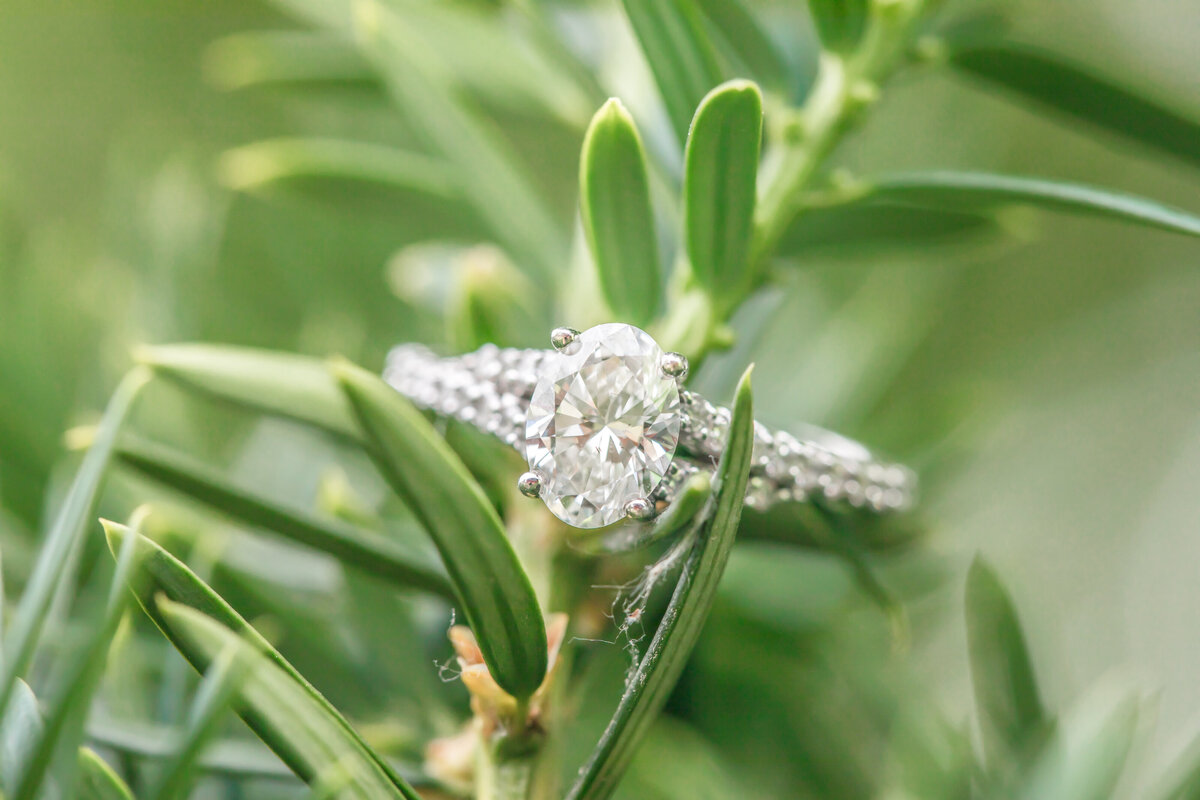 LillieMaePhoto - Elissa & tyler-0202