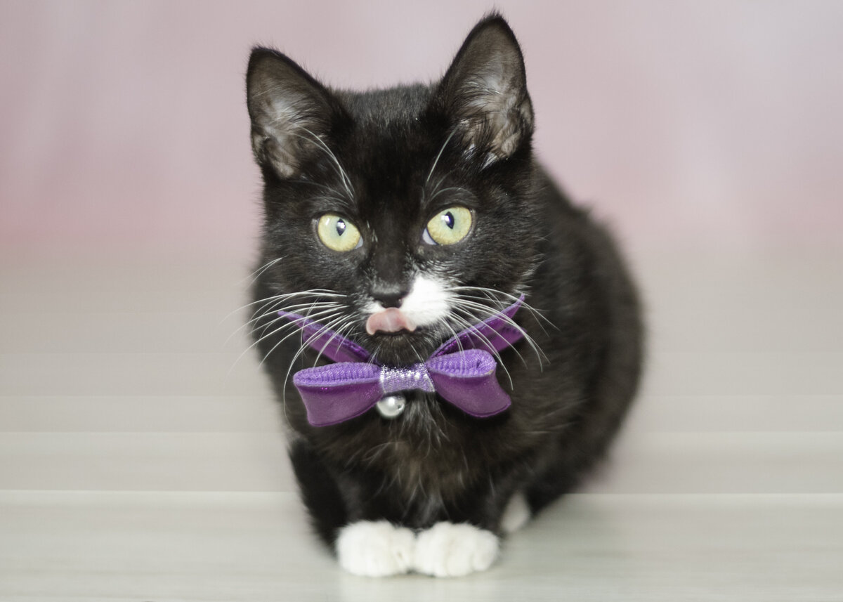 Salem pink