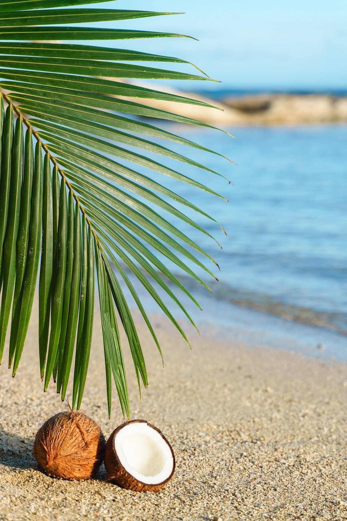 Big Island Brand Photography-14