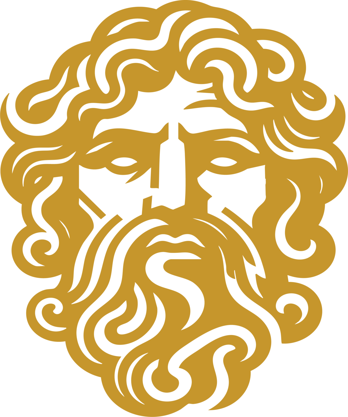 Full Head Logo (no words)