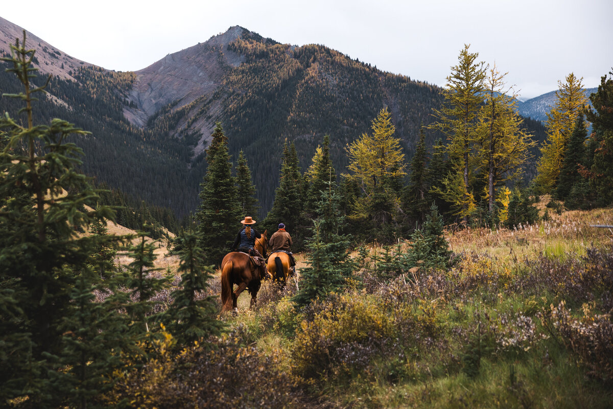 Horseback riding -5949