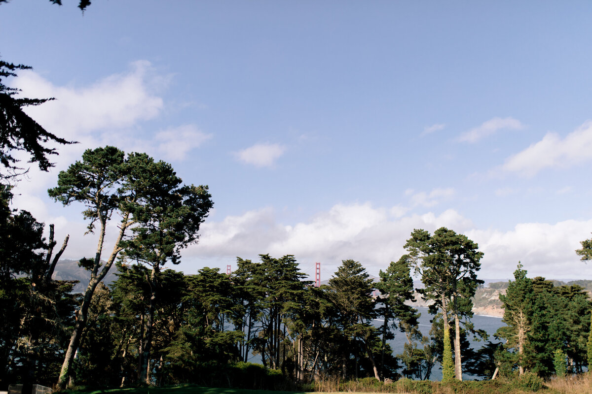 Northern-California-Wedding-Photographer-4439