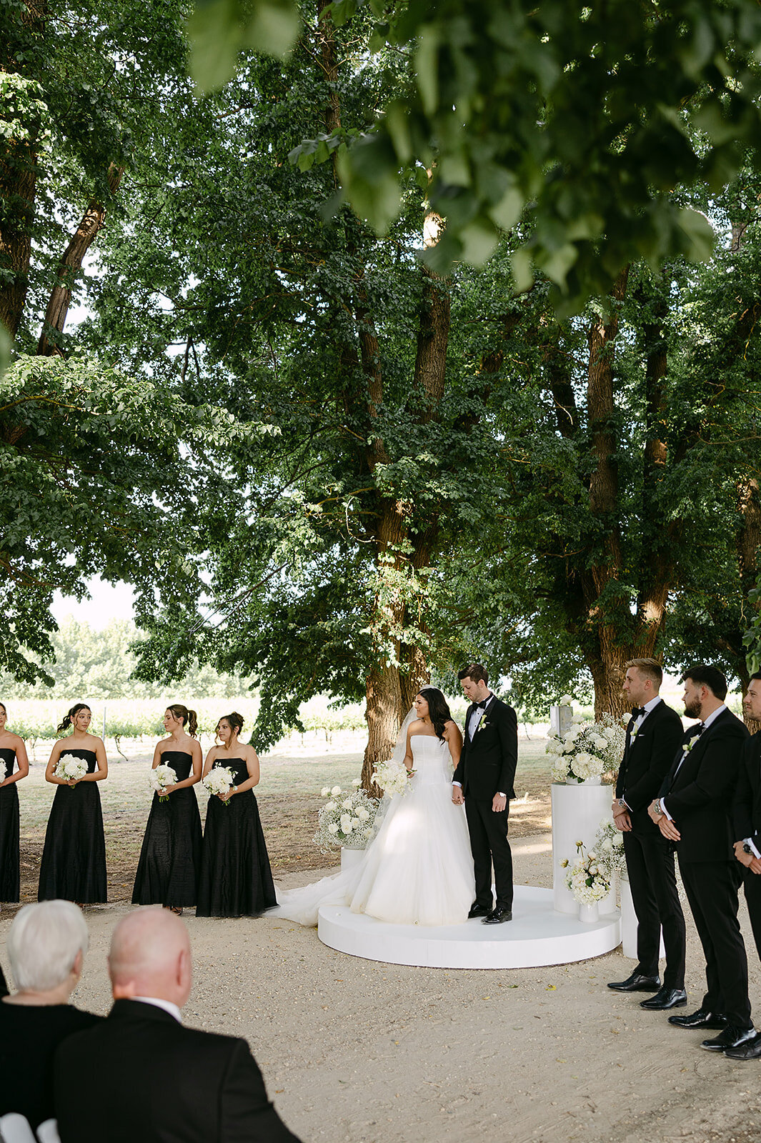 Ashleigh Haase Photography — photo 6 of 18